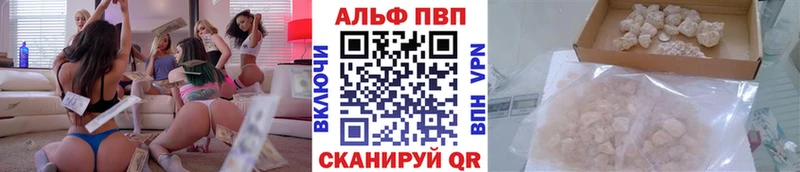 A PVP СК КРИС  Городец 