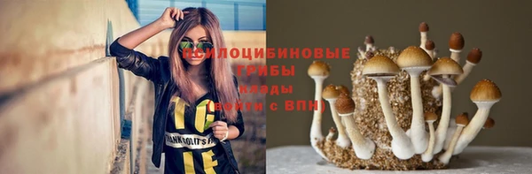 spice Беломорск