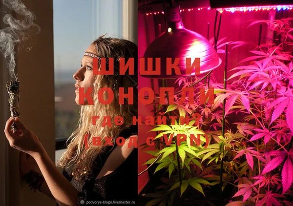 spice Беломорск