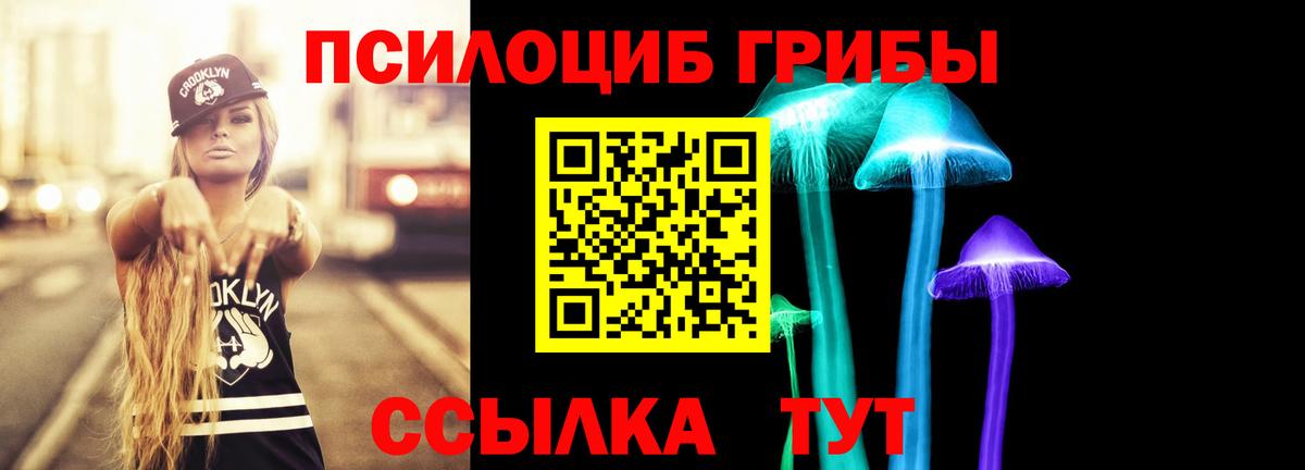 Псилоцибиновые грибы GOLDEN TEACHER  Вход с VPN  Городец 